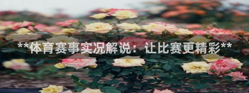 星欧娱乐平台怎么样啊可靠吗