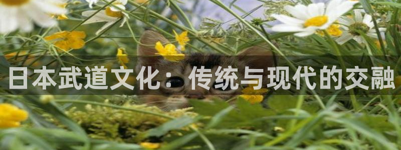 星乐娱乐官网