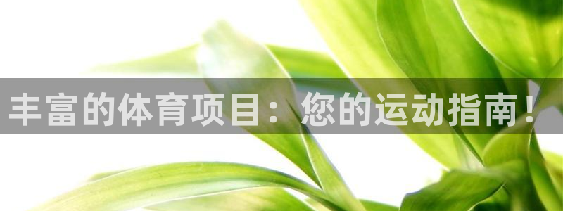 星欧娱乐平台怎么样啊可靠吗
