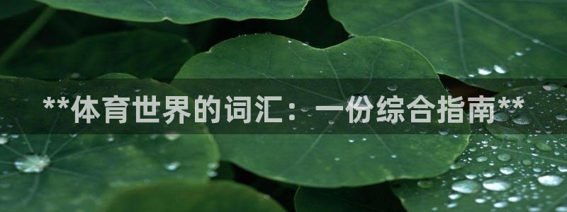 星欧娱乐官网下载