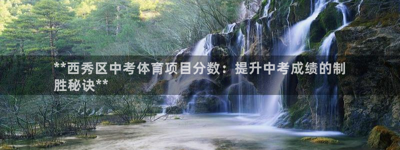 星娱乐是谁的公司