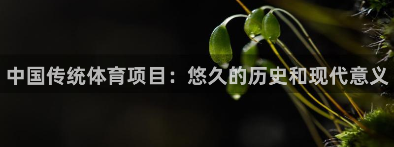 星欧娱乐平台道7O777