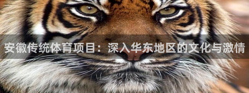 星欧娱乐最建议买的三个游戏