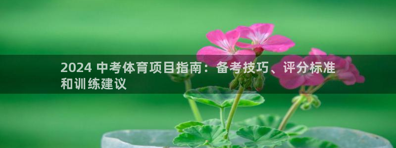 星奥娱乐集团股份有限公司怎么样