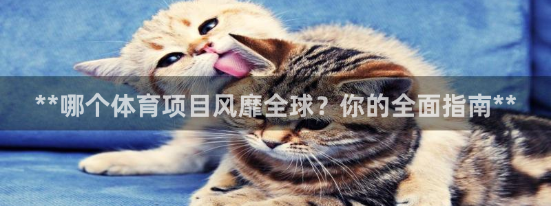 星欧娱乐挂机赚钱