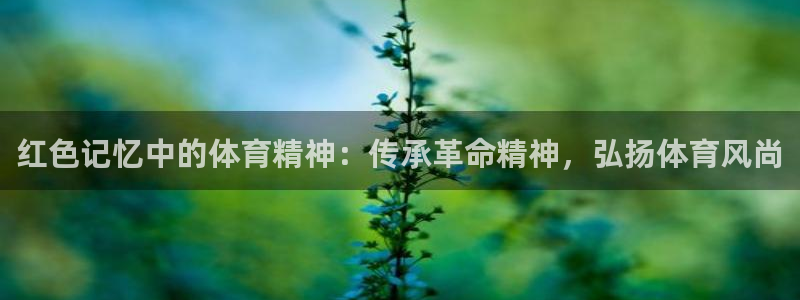星欧娱乐是正规平台吗可靠吗