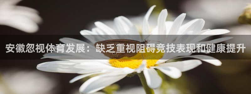 星澳娱乐公司