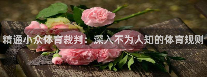 星奥娱乐艺人