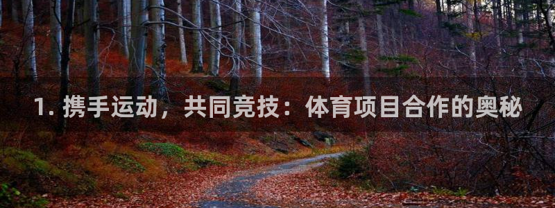 星欧娱乐法711.112扣费如何处理