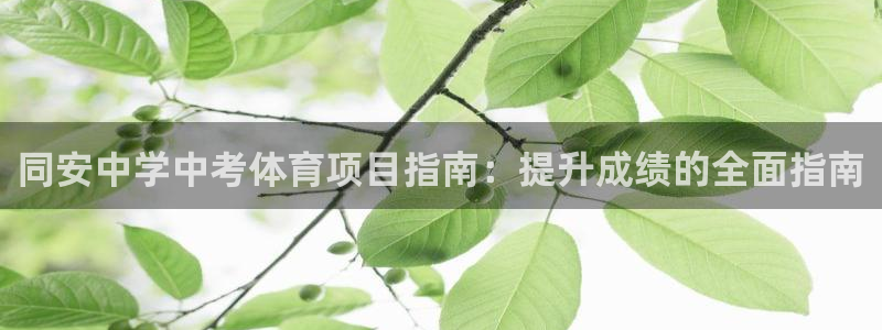 星欧娱乐属于什么档次的公司