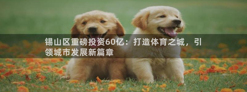 星欧娱乐挂机教程