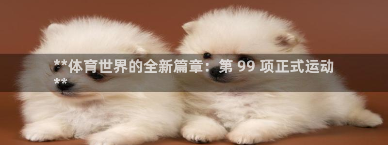 星澳娱乐公司怎么样