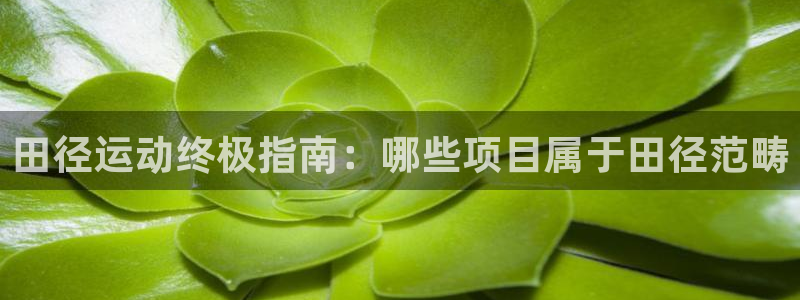 星欧娱乐扣钱步骤详解