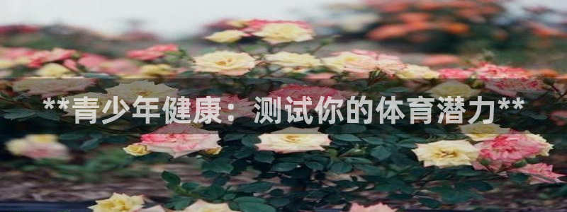 星娱乐online刘亦菲