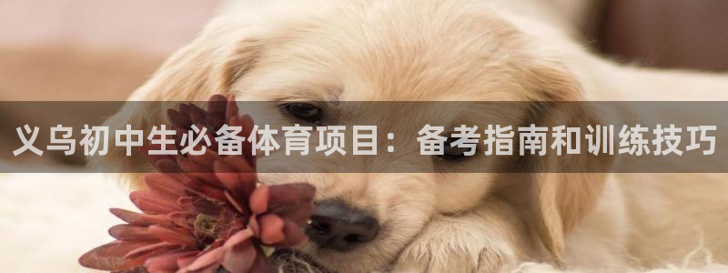 星澳娱乐公司怎么样