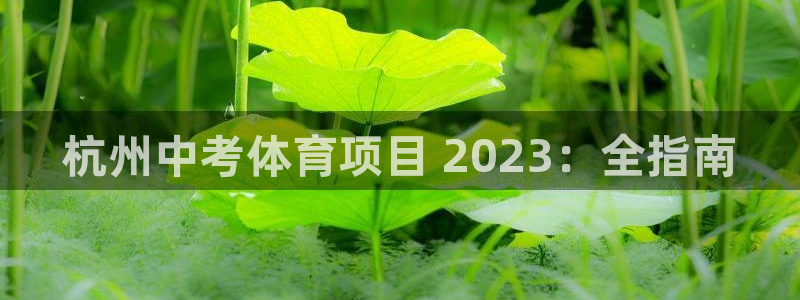 星欧娱乐彩票软件下载
