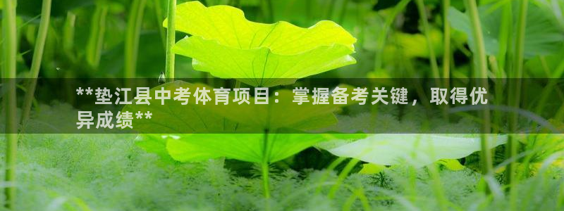 星欧娱乐联游戏评测