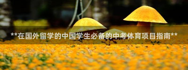 星乐娱乐