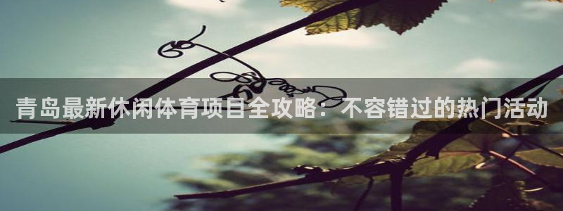 星欧娱乐平台方7O777