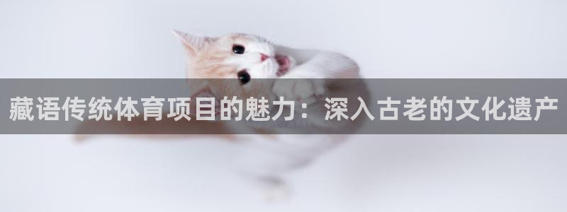 江苏星奥娱乐有限公司
