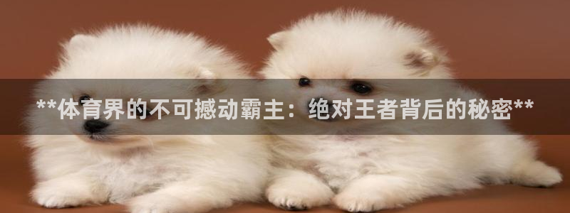 星澳娱乐公司地址