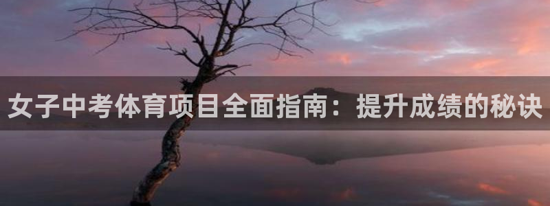 星游娱乐下载地址