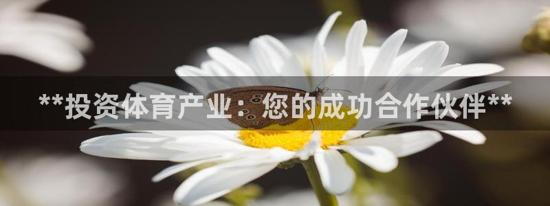 星欧娱乐扣款流程详解图片大全