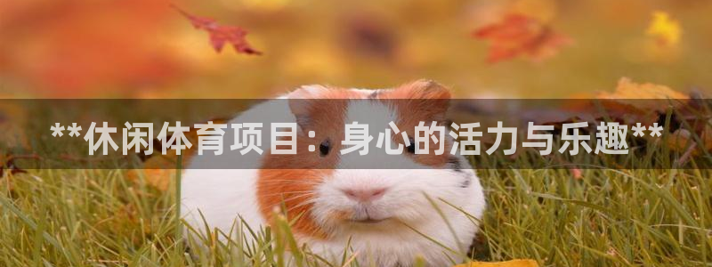 星欧娱乐扣款流程详解视频播放