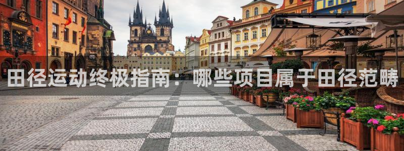 星欧娱乐app最新版本更新内容
