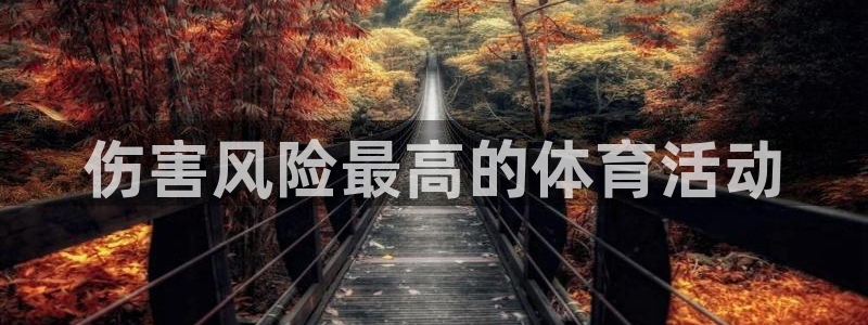 星欧娱乐联游戏评测
