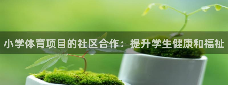 星欧娱乐挂机教程