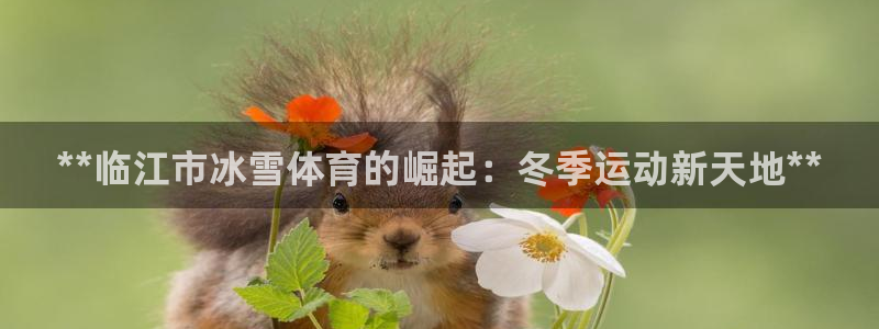 星欧娱乐平台测速线路怎么设置