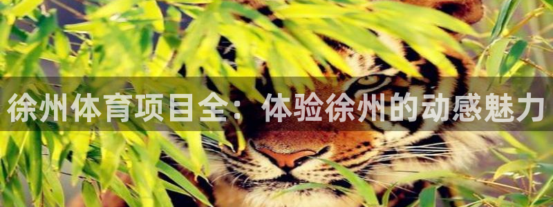 星欧娱乐扣款流程详解视频播放