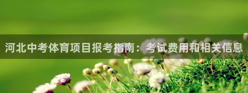 新星娱乐怎么开挂