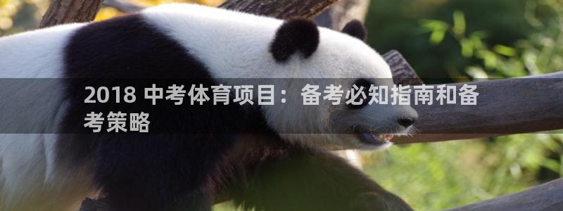 星欧娱乐扣款流程详解图高清