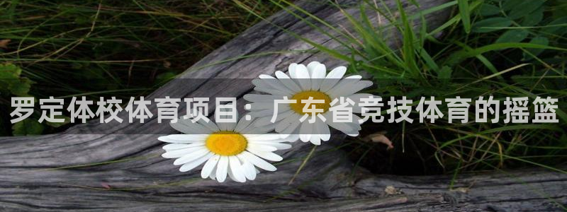 星欧娱乐是正规平台吗知乎推荐