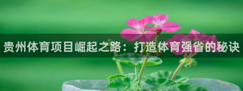 星奥娱乐集团怎么样
