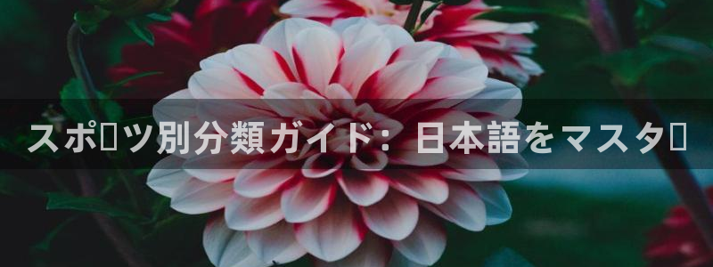 星娱乐online刘亦菲