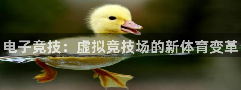 星欧娱乐扣款流程详解