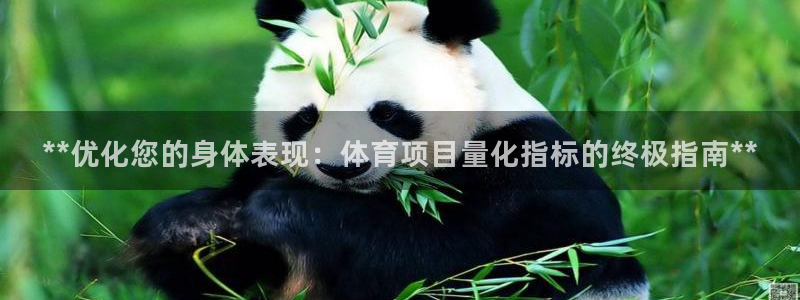 新星娱乐怎么开挂