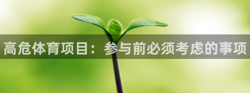 星奥娱乐集团股份有限公司
