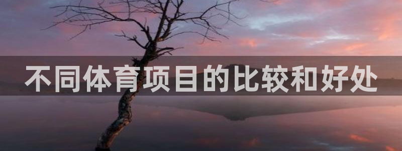 星欧娱乐总代.直开.中国