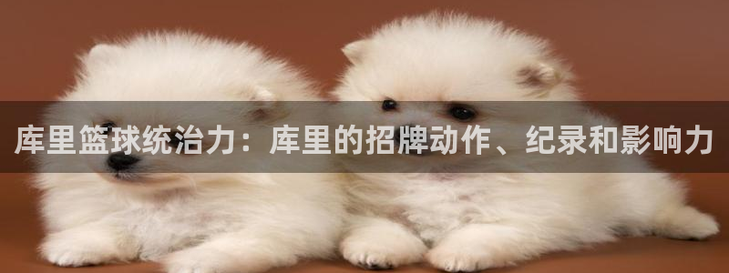 星欧娱乐属于什么档次的公司名称
