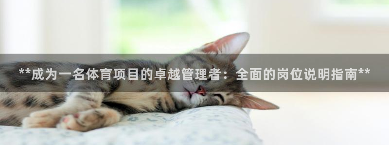 星欧娱乐是正规平台吗可靠吗