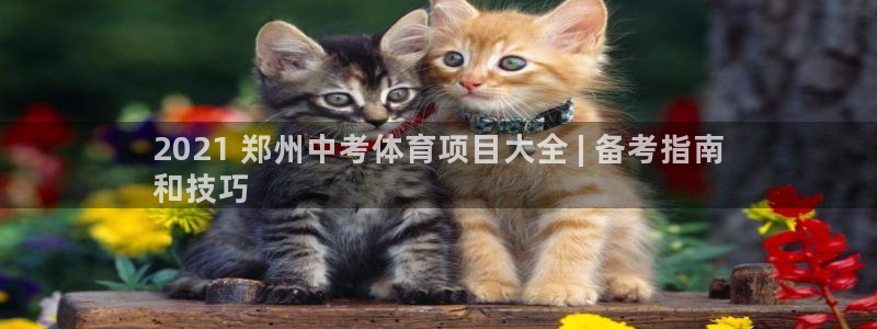 星娱乐包月业务是什么