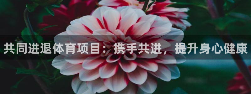 星奥娱乐旗下艺人