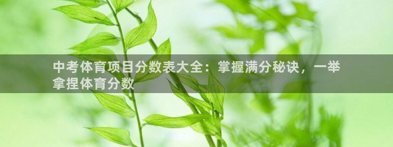 星欧娱乐是正规品牌吗