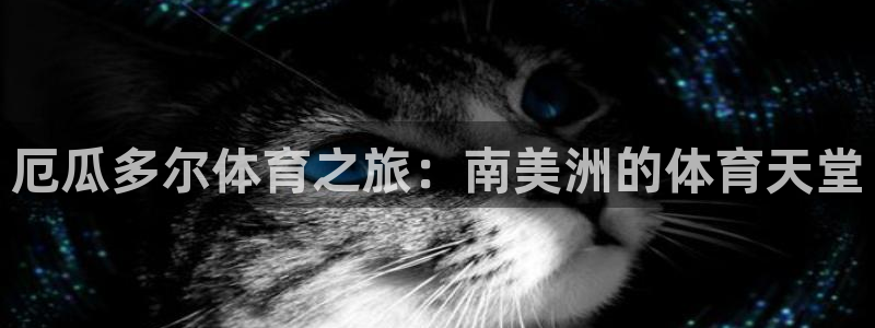 星欧娱乐挂机教程视频
