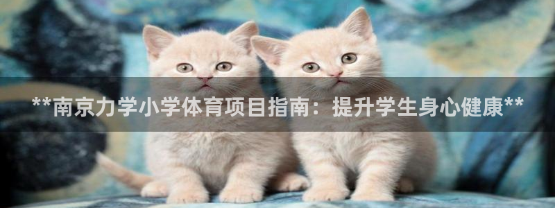 星欧娱乐app最新版本更新内容是什么