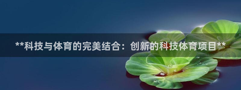 星欧娱乐平台怎么样可靠吗